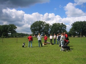 ausbildung-tierpsychologie-animalvision